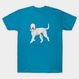 cute bedlington terrier dog T-Shirt